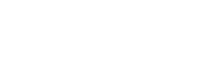 Logo_Dennis_Augustin_Marketing_weiss_1